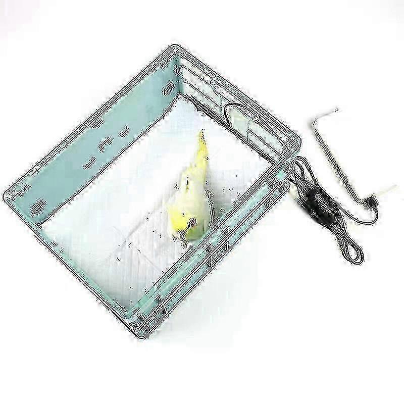 Safe Plastic Parrot Hatching Box With Removable USB Warmer