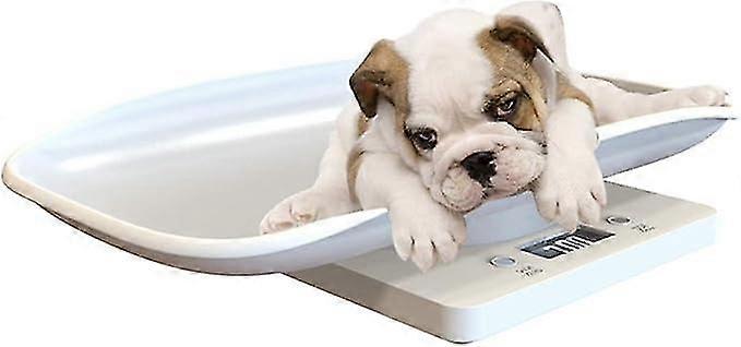 Multi-Function Digital Pet Scale to Measure Dog and Cat Weight Accurately Up to 10KG, Pet Dog Weighing Scale