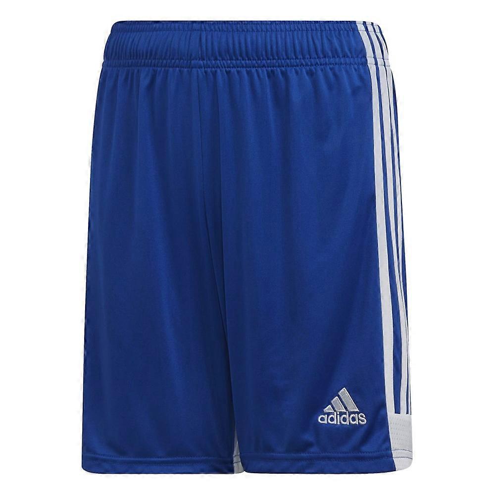 Trousers Adidas Tastigo 19 DP3686