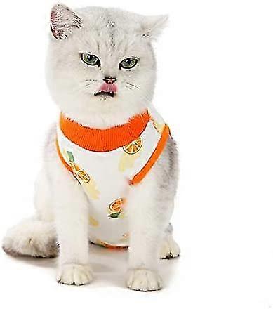 Mačky sa po operácii vrátia k odvykaniu-MXBC