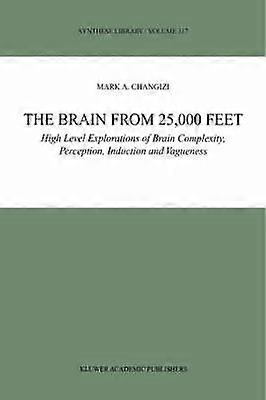 The Brain from 25000 Feet