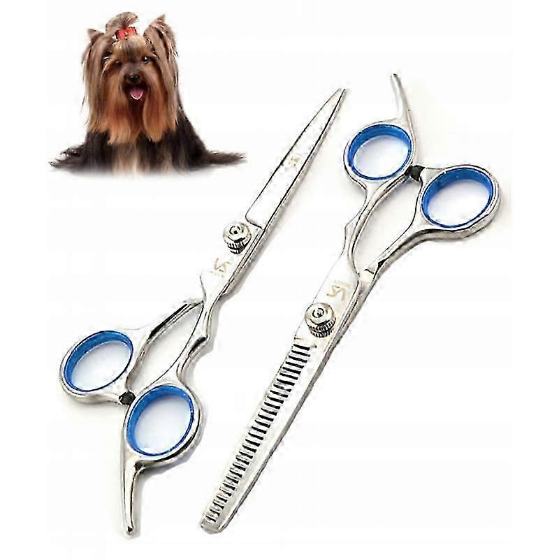 6.0 inch stainless steel hairdressing scissors (flat scissors + tooth scissors)