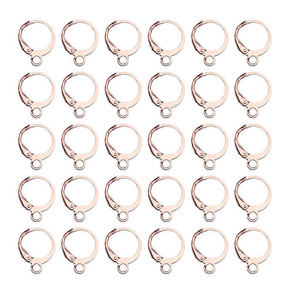 DIY Earring Making 100Pcs Round Lever Hooks Ideal For Jewelry Crafting Findings