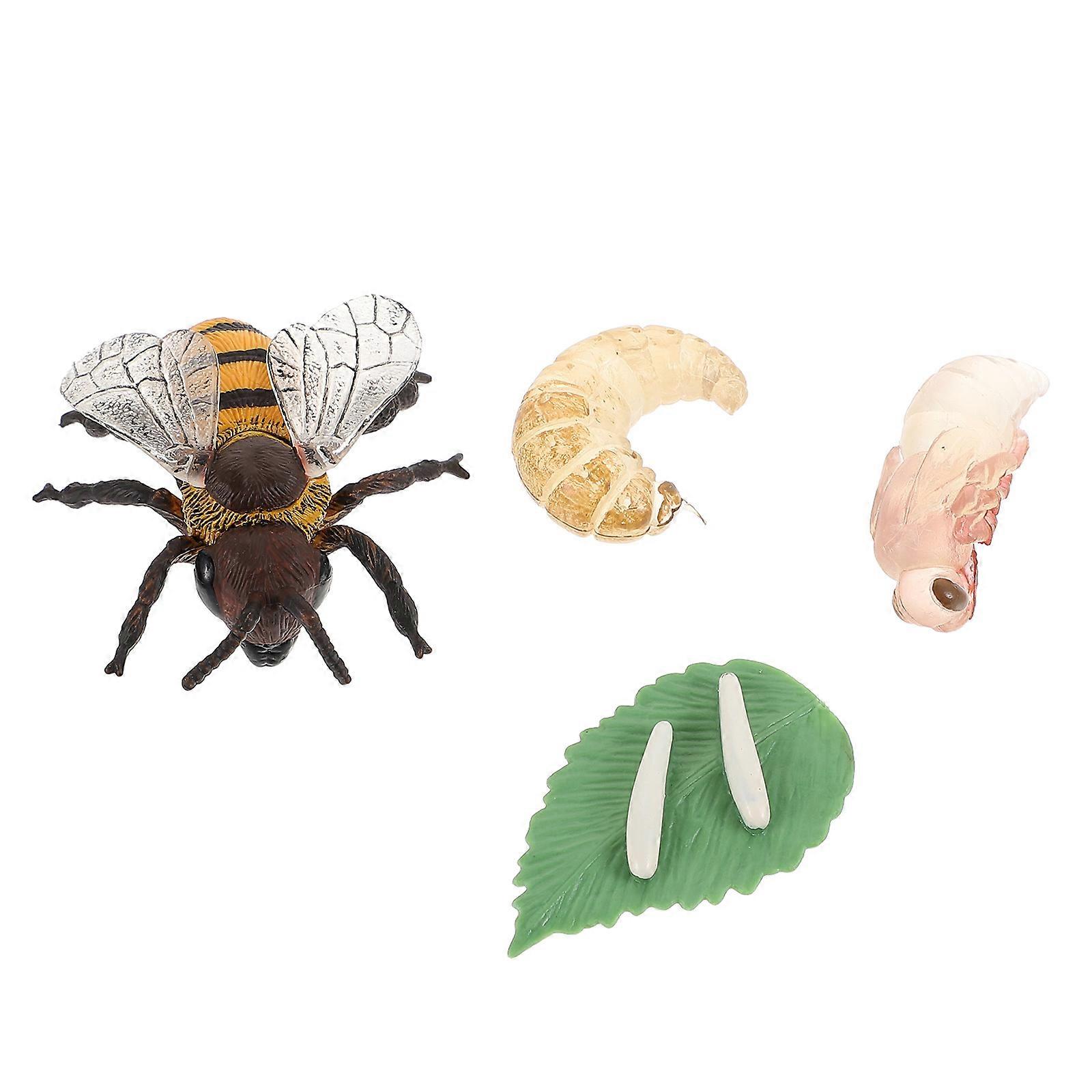 Kid Educational Bee Model for Natural Science with 2Sets Cognitive Toys