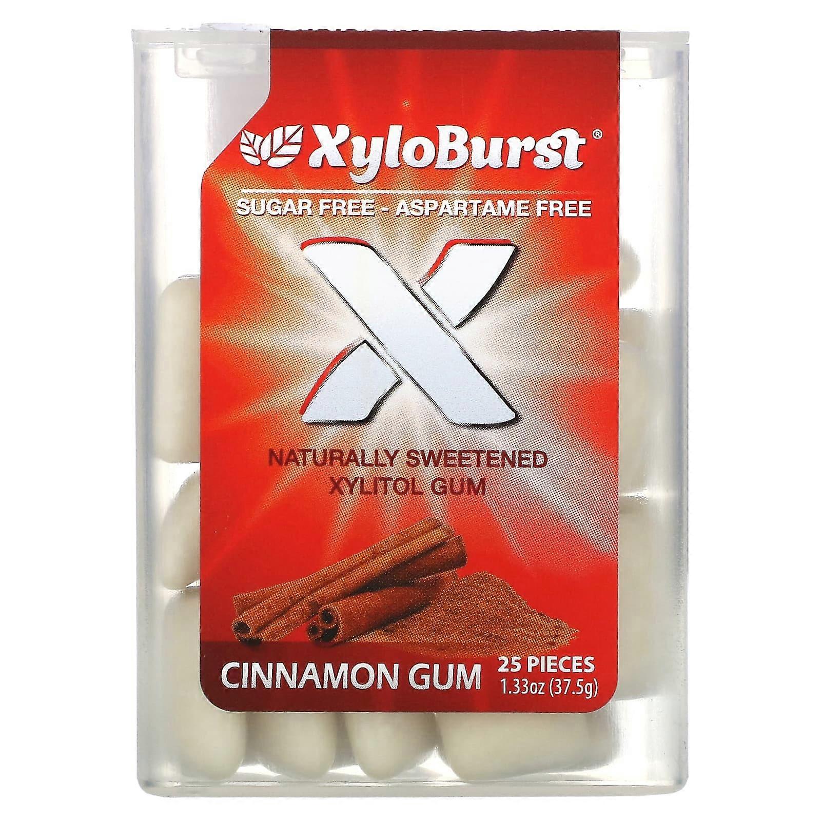 Xylitol Gum, Cinnamon, 25 Pieces