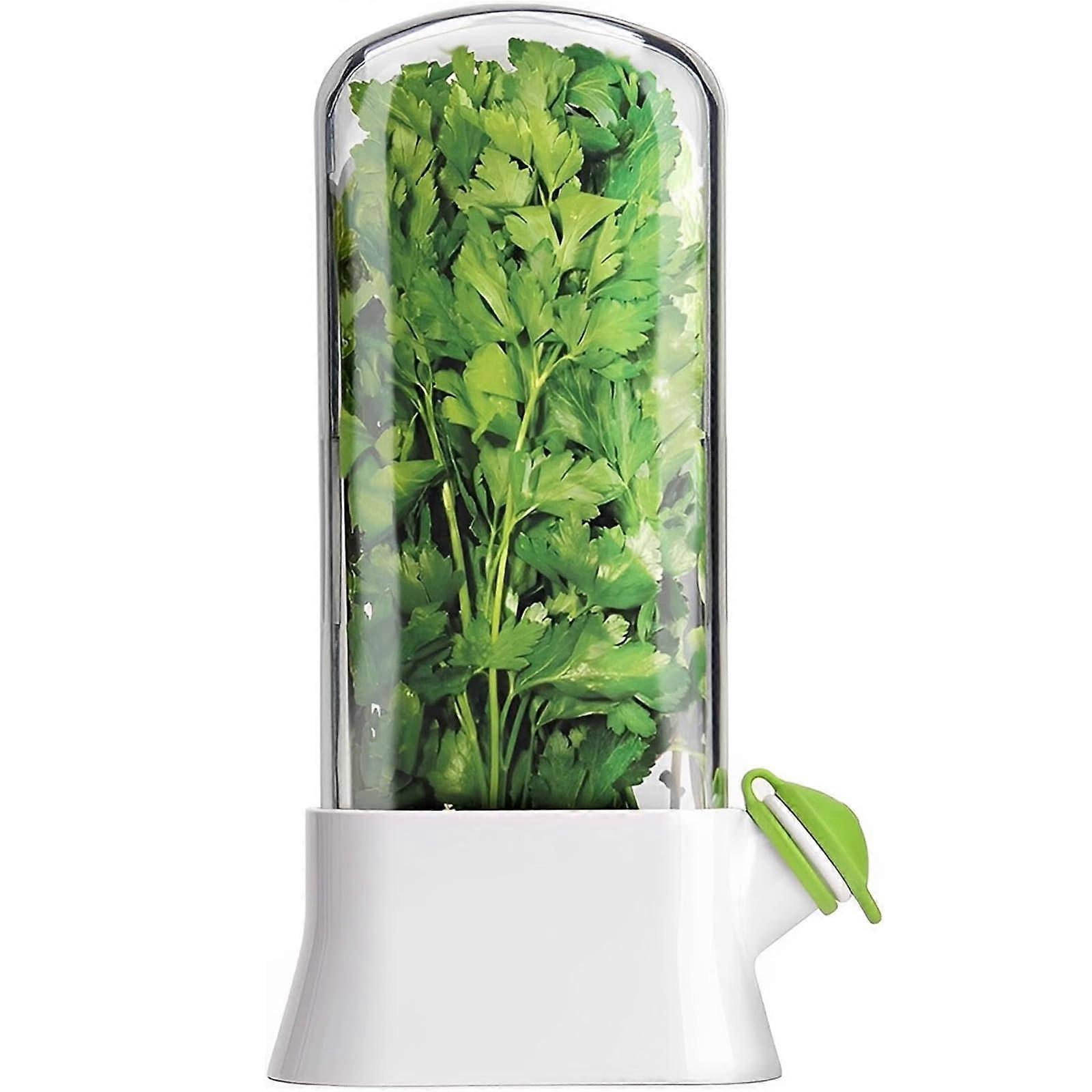 Herb Keeper with Scissors, Clear Plastic Container for Fresh Parsley and Cilantro, 10 x 4 Inches, White and Green