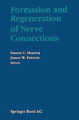 Formation and Regeneration of Nerve Connections