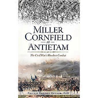 Miller Cornfield Antietamissa: sisällissodan verisin taistelu