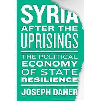 Syria After the Uprisings The Political Economy of State Resilience