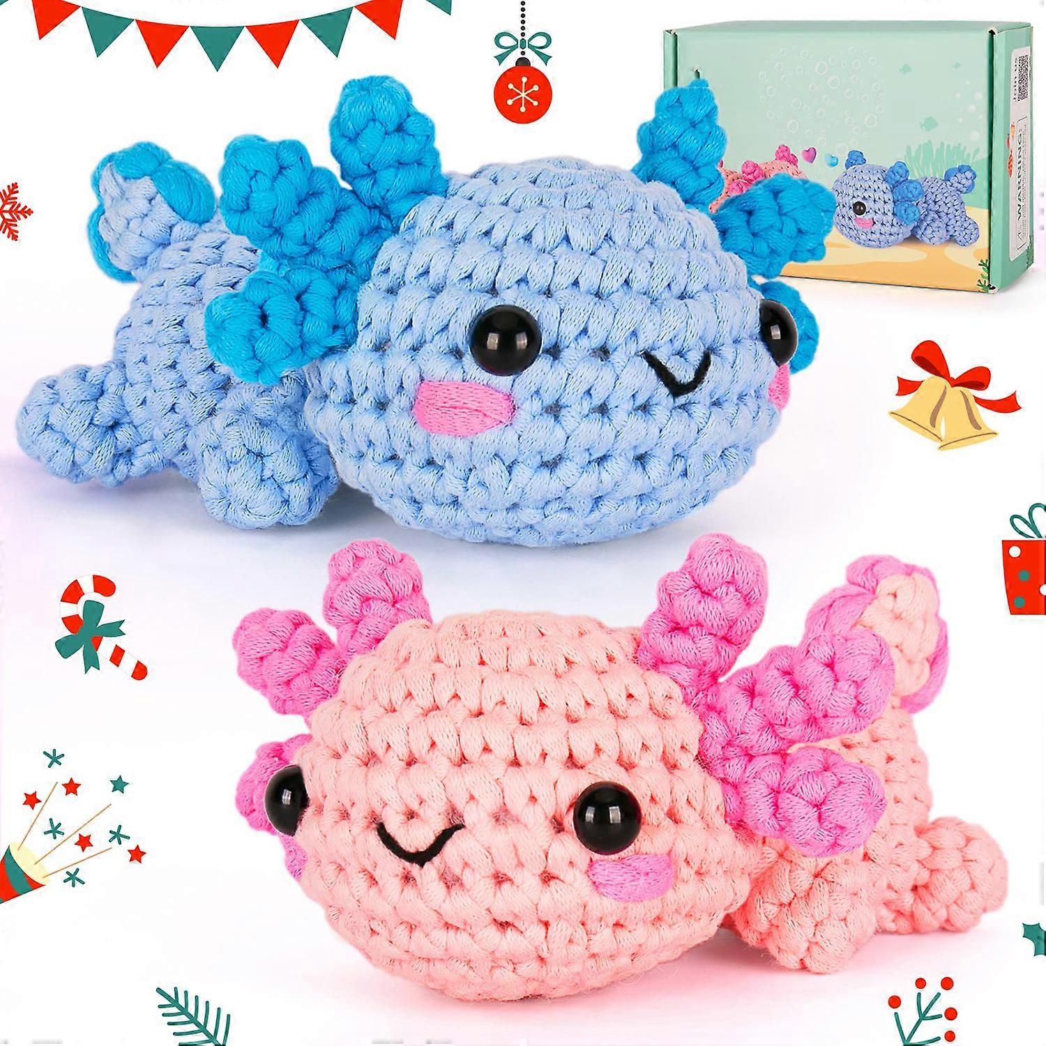 Beginner Crochet Kit