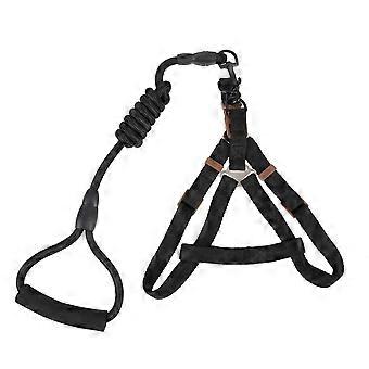 Nylon Dog Harness and Leash for Pet Walking 5Sets Kit