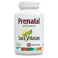 Prenatal Multinutrient 90 capsules