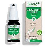 Blackcurrant spray Bio 15 ml