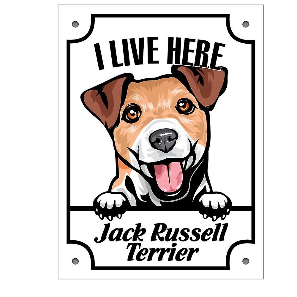 Placa de metal Jack Russell Terrier Squinting sinal de cão 