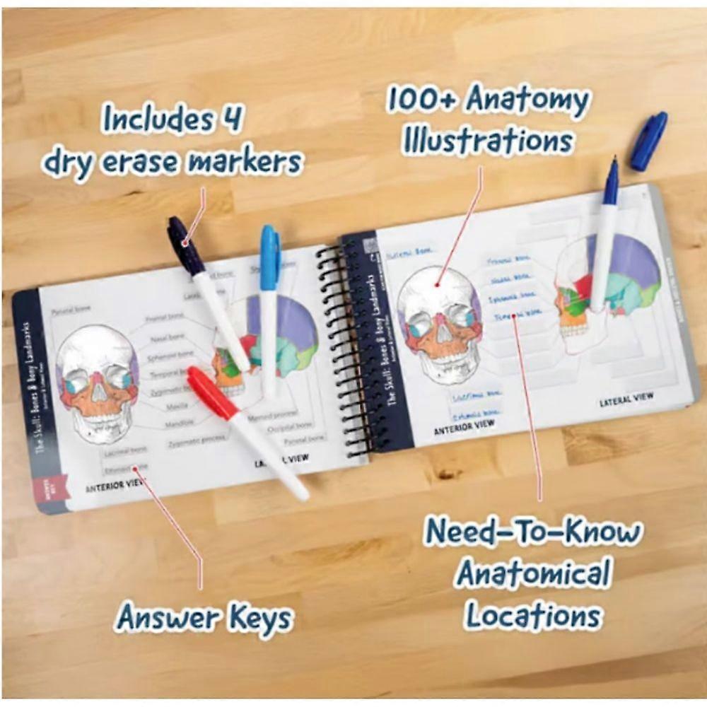 Anatomy Label Lab Workbook,Anatomy Terms Workbook,Human Anatomy ...
