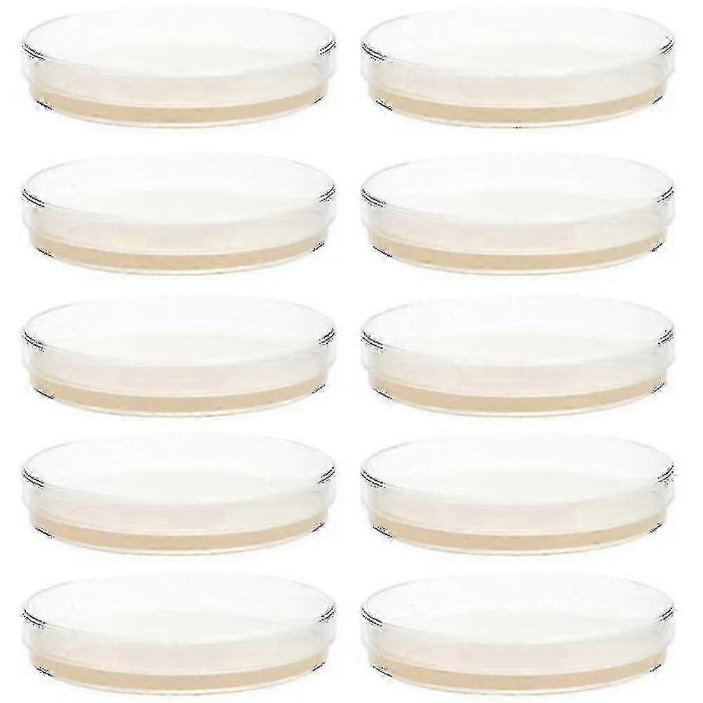 10pcs 한천 플레이트 페트리 접시 한천 과학 실험 용품