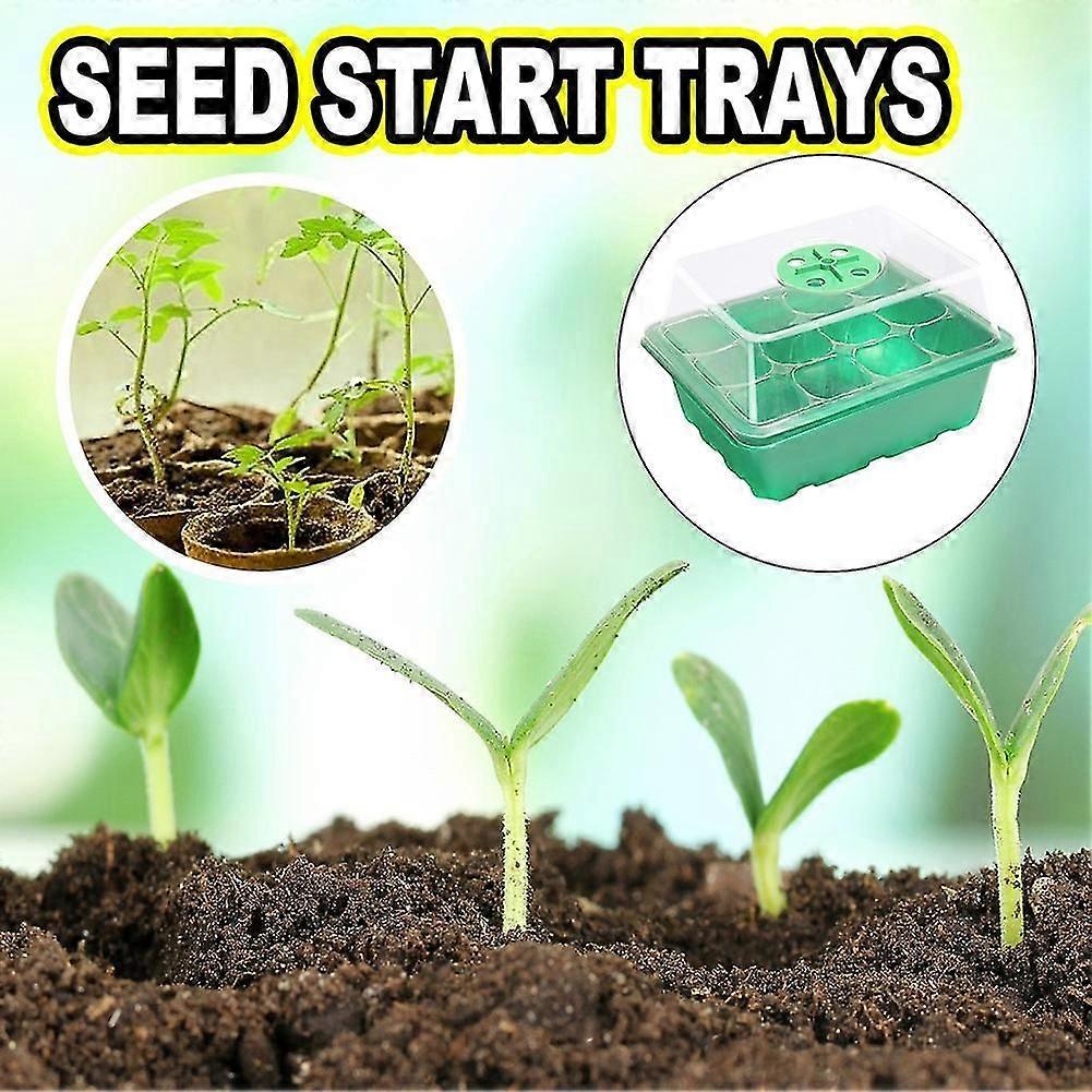 12 hål Seed Grow Planter Box Växthus Trädgård Frökruka Växt Seeding Tray