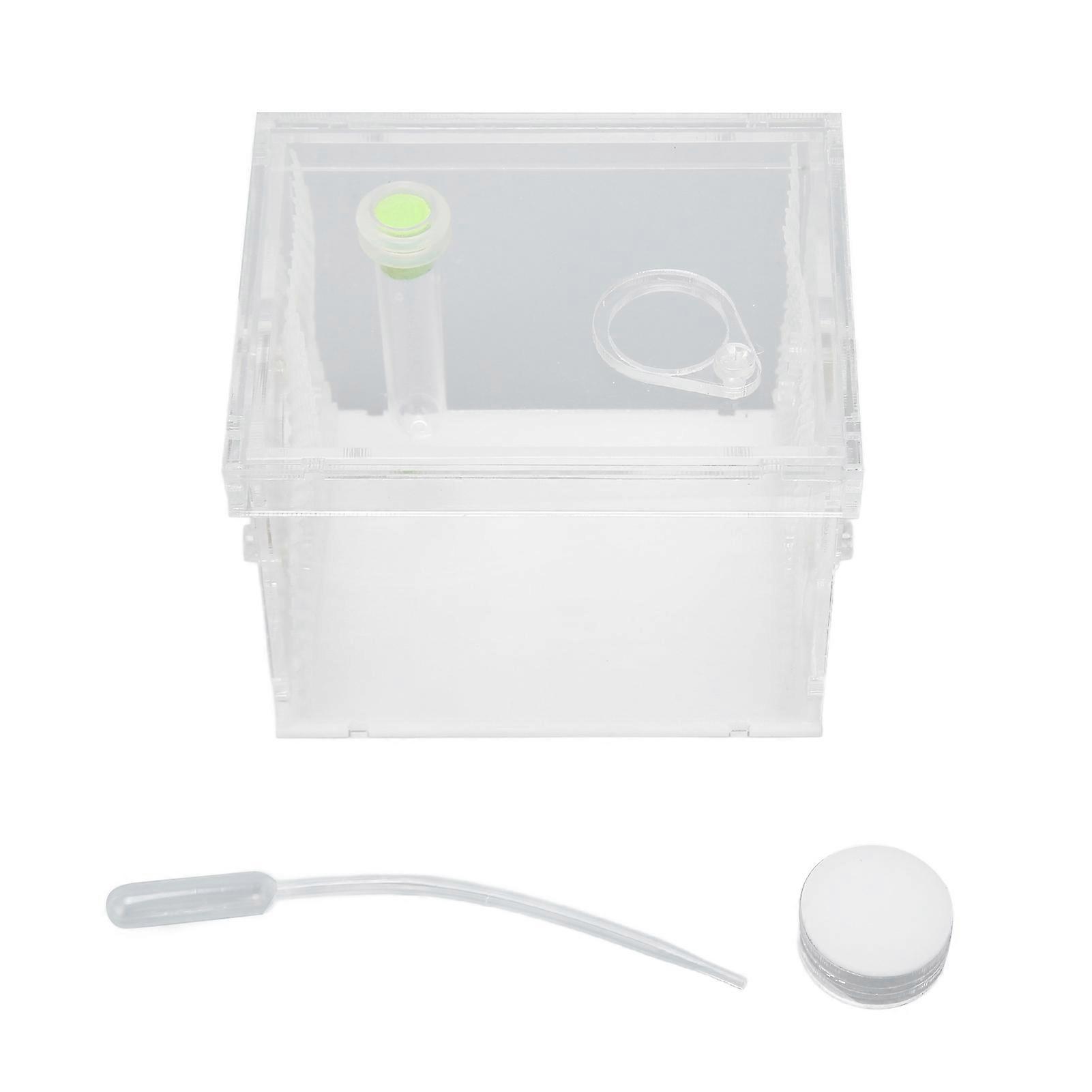Reptile Insect Enclosure Tank Mini Acrylic High Transparency Moisturizing Reptile Insect Breeding Box S