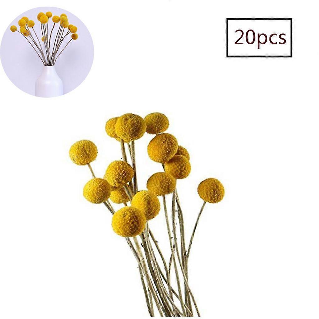 Natural dried yellow button ball bouquets, dried flower billy button arrangement decoration suitable for DIY, wedding, business