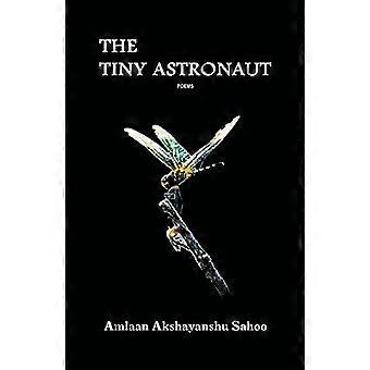 Der kleine Astronaut