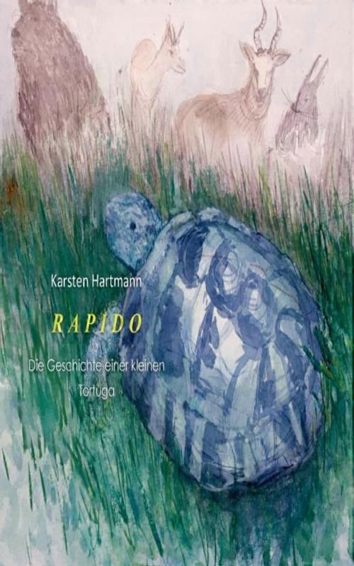 Rapidodie Geschichten Einer Kleinen Tortuga
