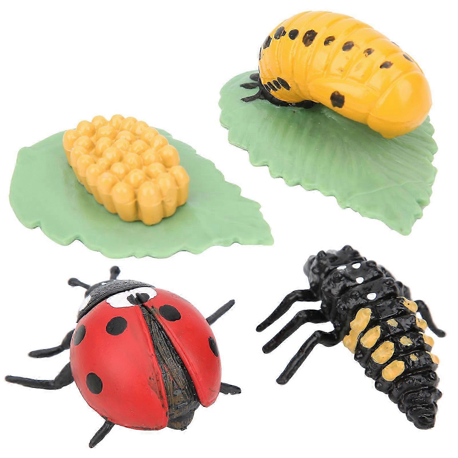 Insect Model Toy for Kids Educational Ladybug Simulation Gift