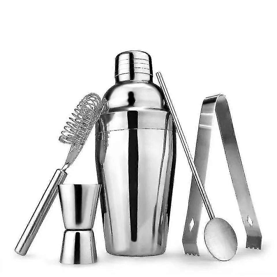 5pc rustfritt stål cocktail maker sett med 750ml shaker