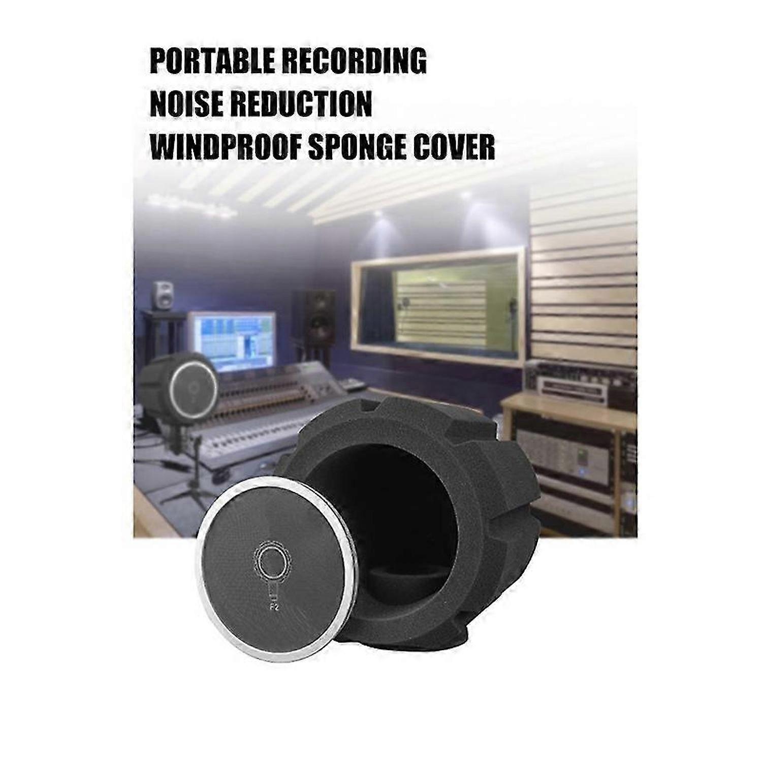 F2 Professional Condenser Microphone Studio Screen Acoustic Filter