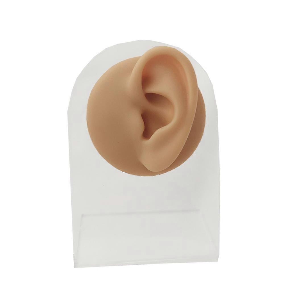 Silicone Ear Model Piercing Tool Ear Display Three-Dimensional Mannequin