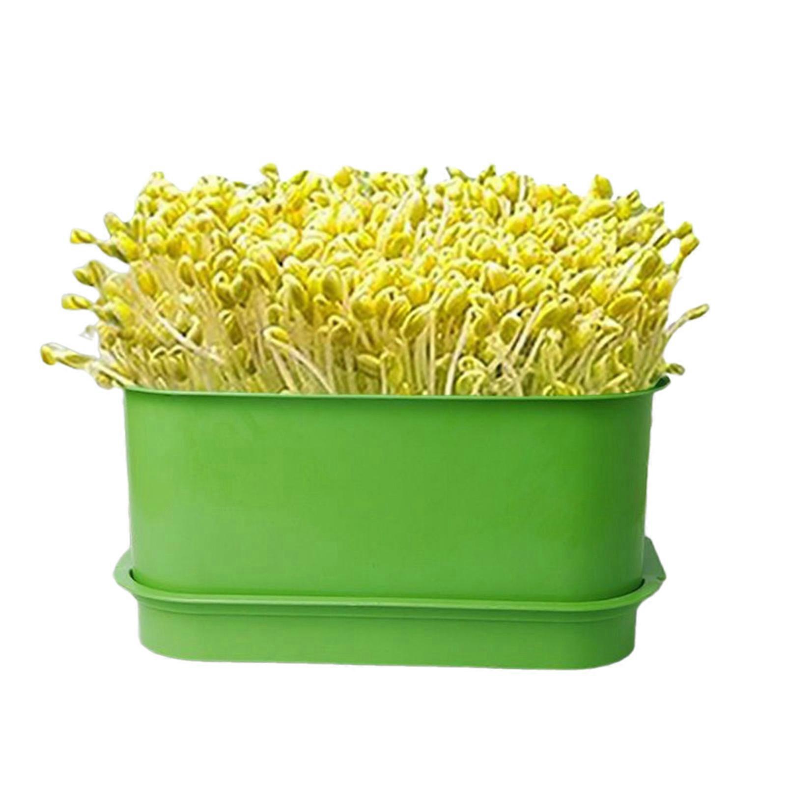 Sprouting Tray  Sprouter Kits Microgreens Growing Kits for Sprout Bean Alfalfa Wheat Grass Home Garden Multicolor