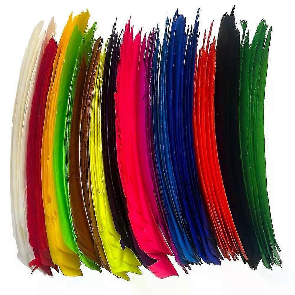 50Pcs Natural Feather Long Feather Fletching Arrow Feathers Multicolor Full length Real Turkey Feather NO Cut hwySH