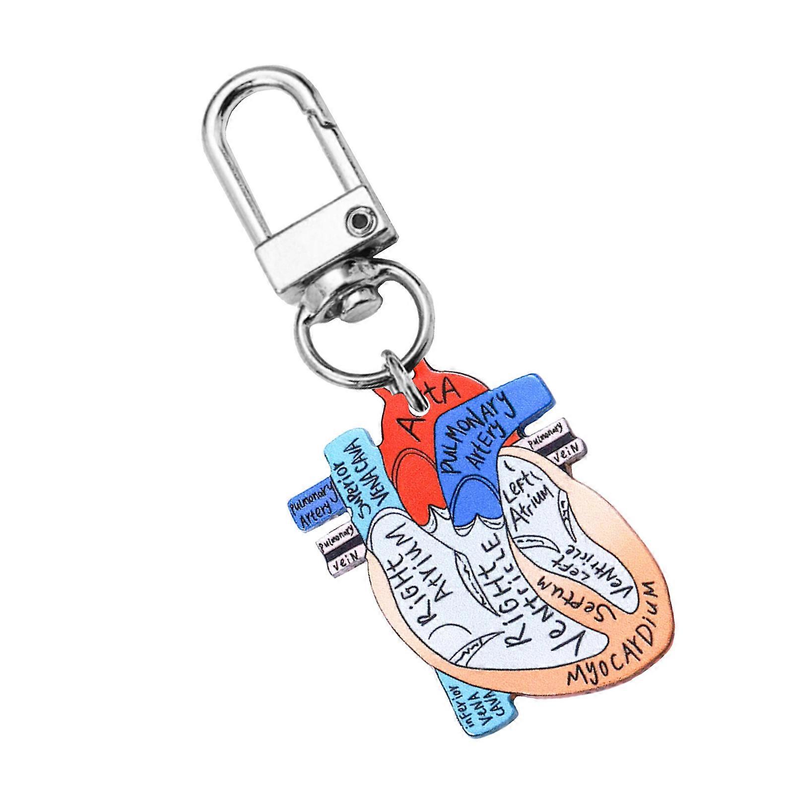 Portable Human Organs Keychain Heart Anatomy Keychain Lightweight Key Rings Accessory for Healthcare Workers Multicolor