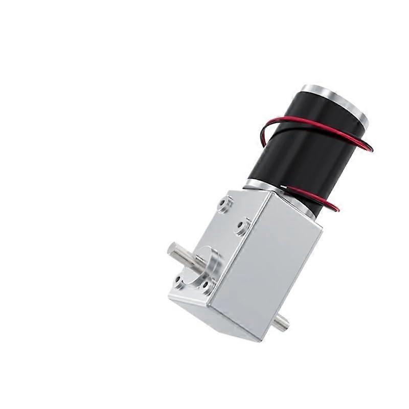 24V 3RPM Dual Output DC Worm Gear Motor with Forward Reverse Control and Adjustable Speed