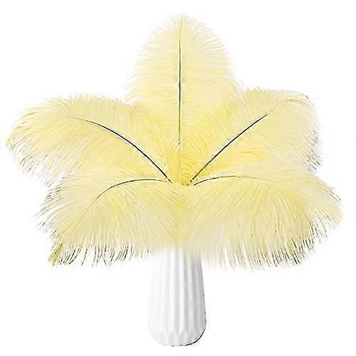 20pcs Natural Bulk Ostrich Feathers