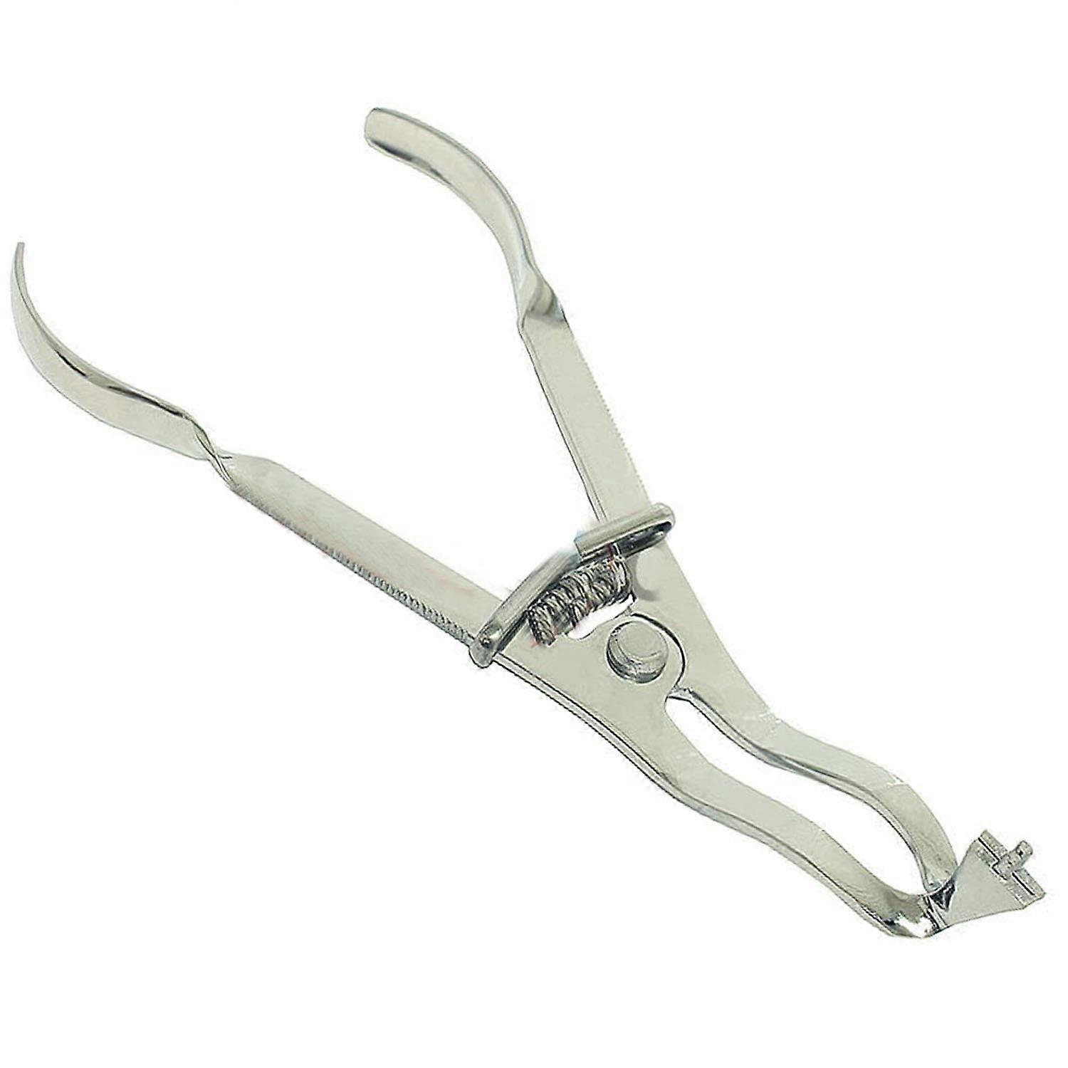 Dental Clamp Forceps with Precise Control, Lightweight Ergonomic Grip for Endodontic Procedures