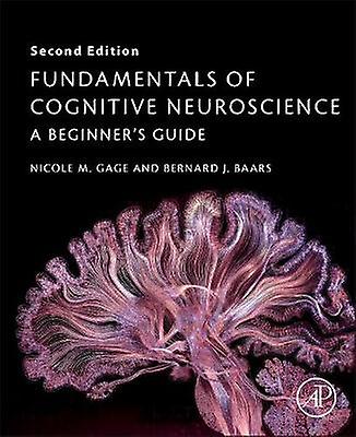 Fundamentele neuroștiinței cognitive