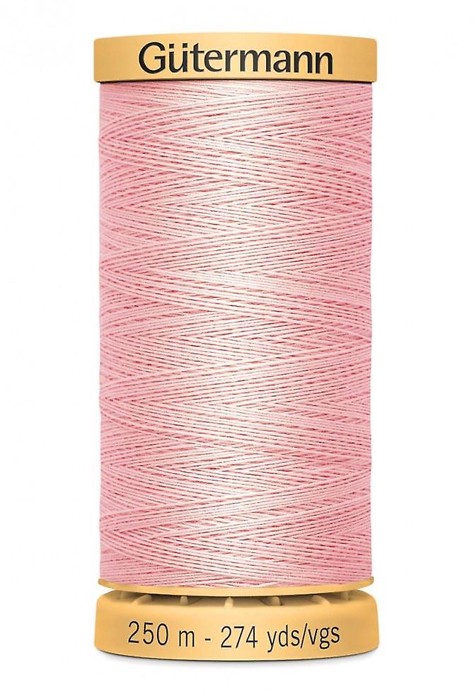 Gutermann Cotton Sewing Thread 250m  2538 - each