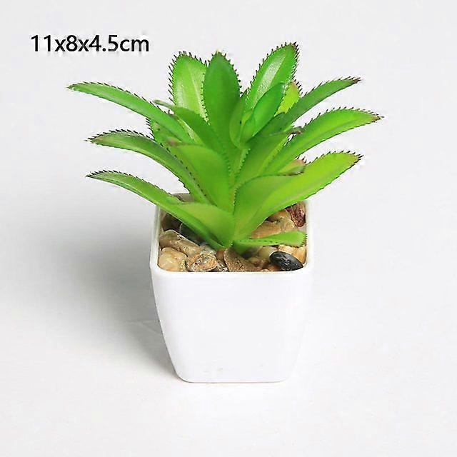 2pcs Yumai mini succulent bonsai cactus