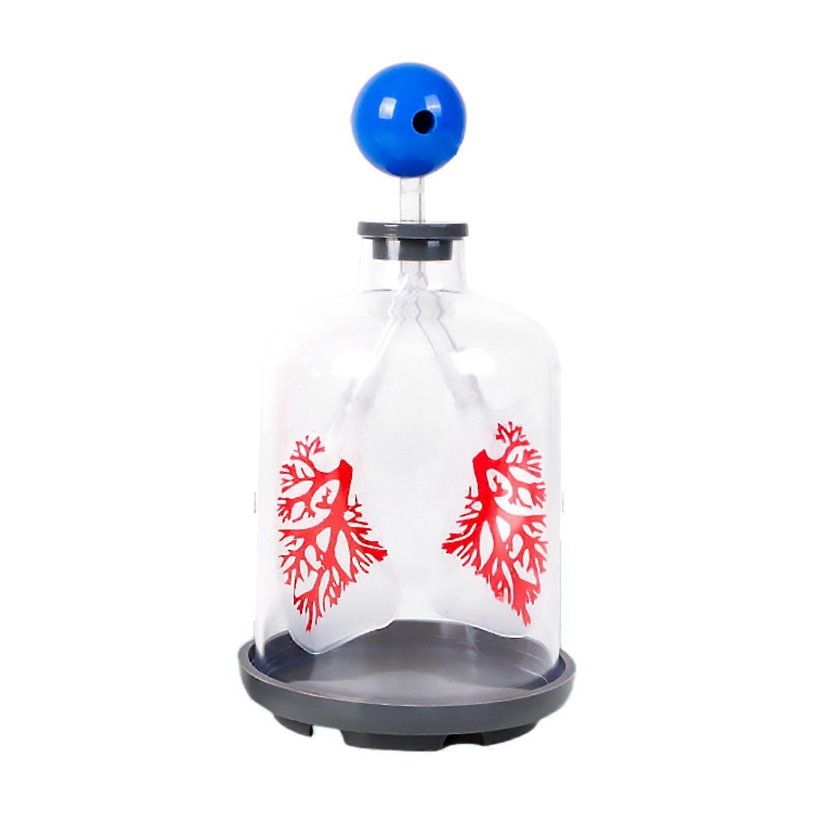 Lung Function Demonstration Model Educational Toy for Ages 8+ Year Old Teens
