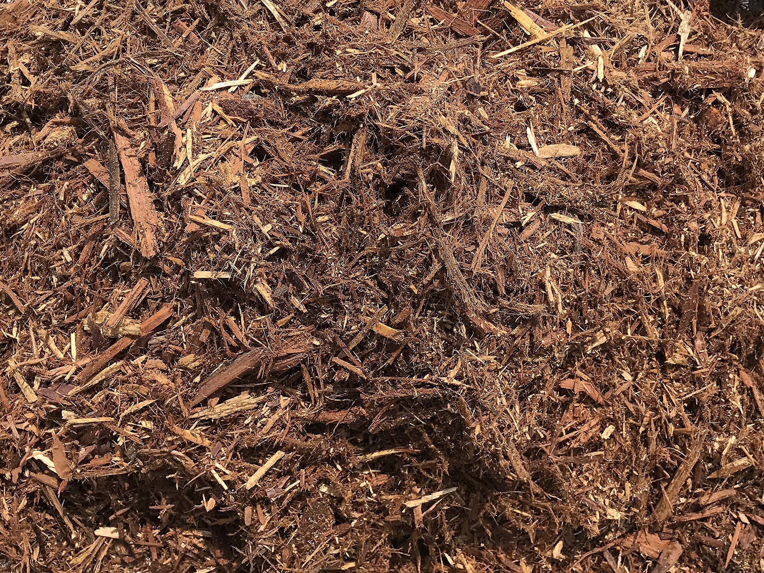 Natural Cedar Mulch, 40 Quarts Plus 8 Quarts Free!