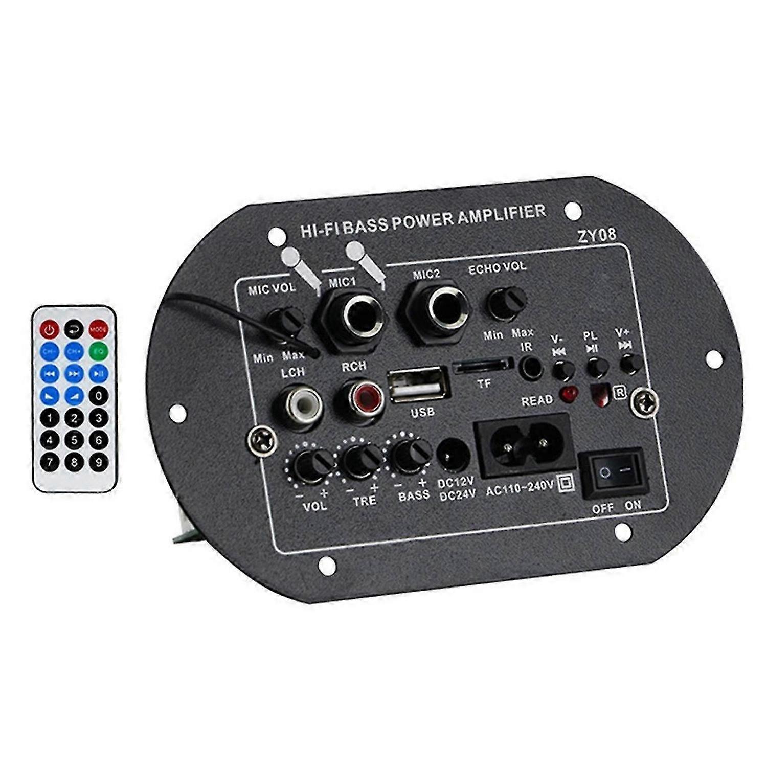12V 24V 220V HIFI Bass Power Amplifier Board with USB Player Module Dual Microphones for Audiophiles