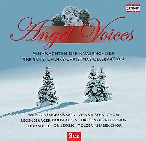 Various - ANGEL VOICES [CD]