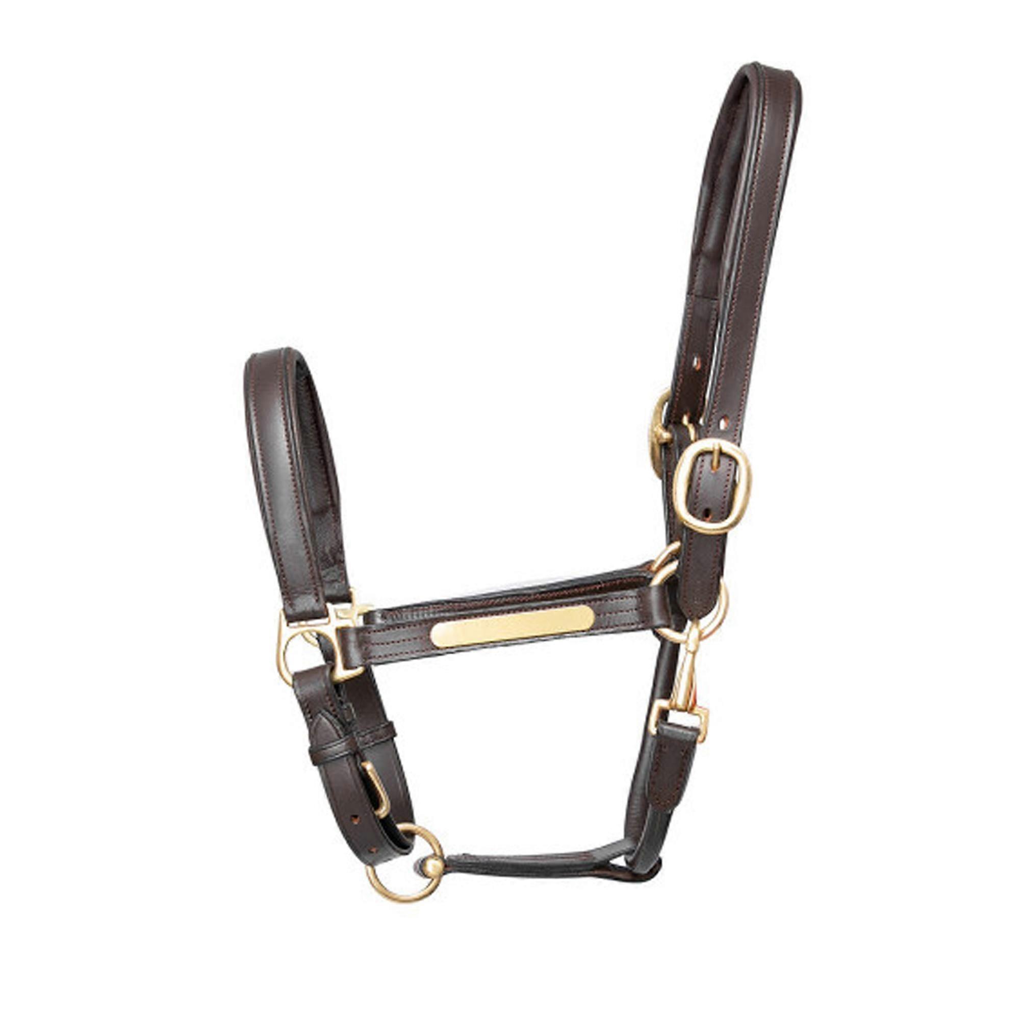 Hy Lederhalsband Kopf