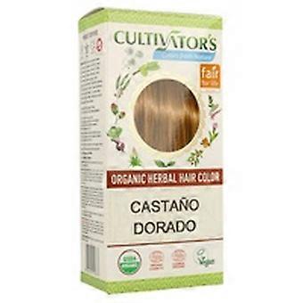 Golden Chestnut 100 g