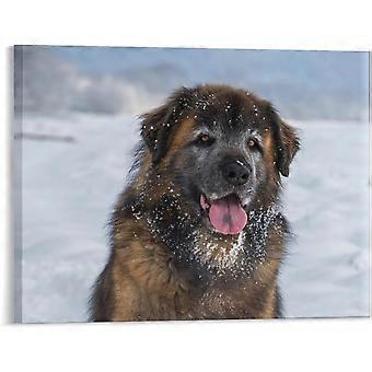 Leonberger Snow Dog Winter Canine Jigsaw Puzzle Artwork for Kitchen Bathroom Modernation VV625