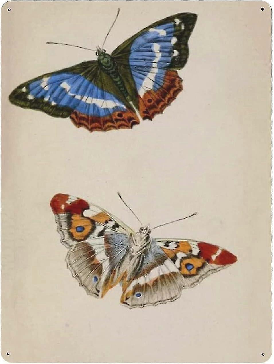Placa de Metal Borboleta Vintage Educacional Vintage Cartaz de Lata Placa de Metal 8x12 Polegadas OU 12x16 Polegadas M