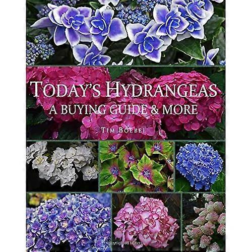 Today's Hydrangeas: A Buying Guide & More