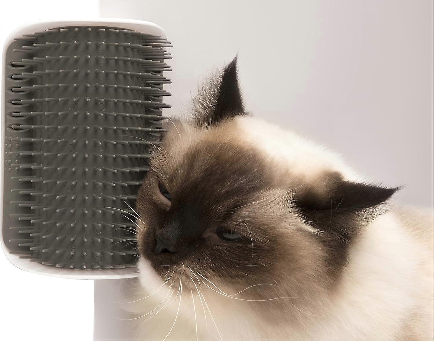 Pet Cat Rubbing Device Rubbing Device Corner Massage Brush Scraping Needle Comb Mint Toy