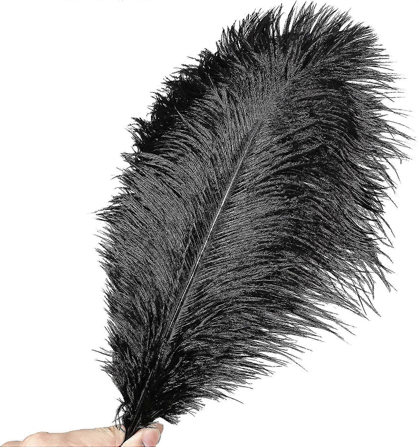 50pcs Ostrich Feathers For Decorations 26s