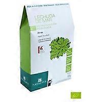 Dehydrated Algae Sea Lettuce Eco 25 g